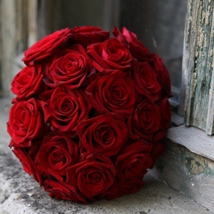 Red Rose